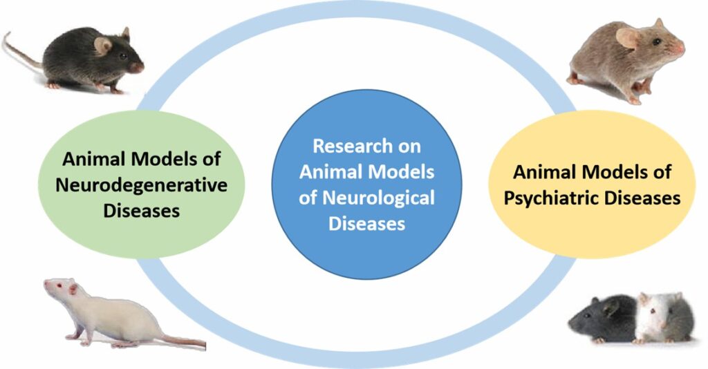 Research on animal models of neurological diseases