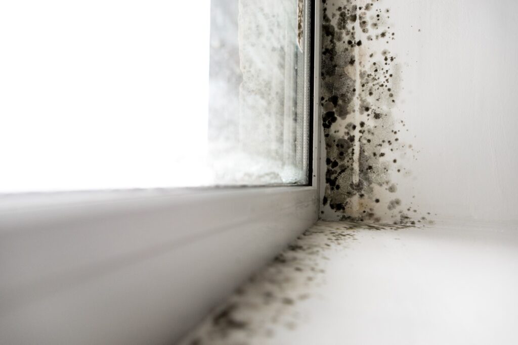 How To Remove Mold From Window Frame