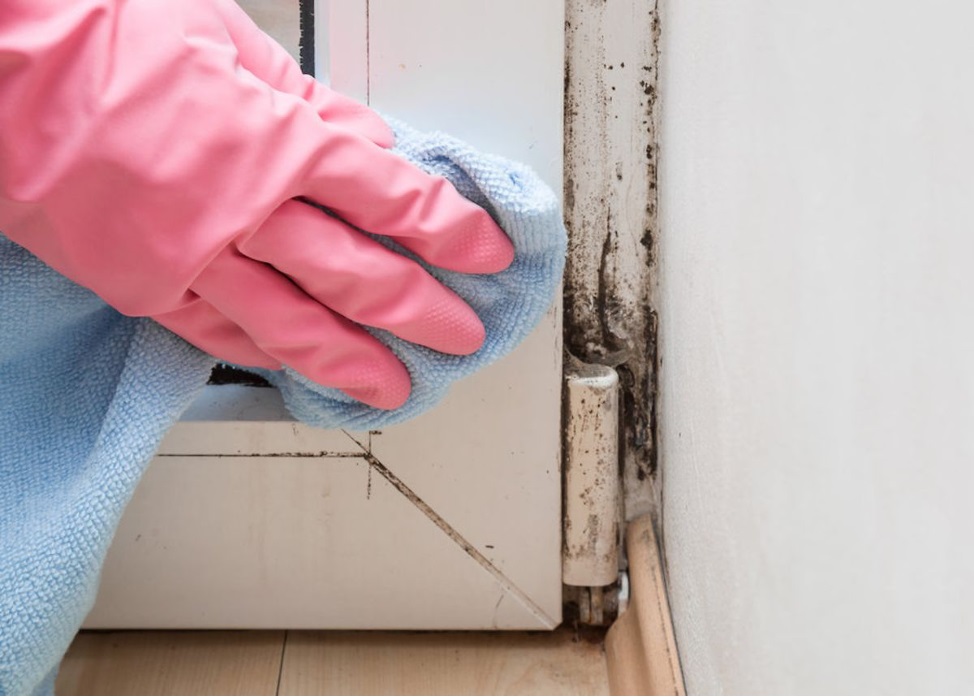 mold cleaning from window frame